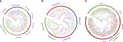 Omics-assisted characterization of two-component system genes from Gossypium Raimondii in response to salinity and molecular interaction with abscisic acid